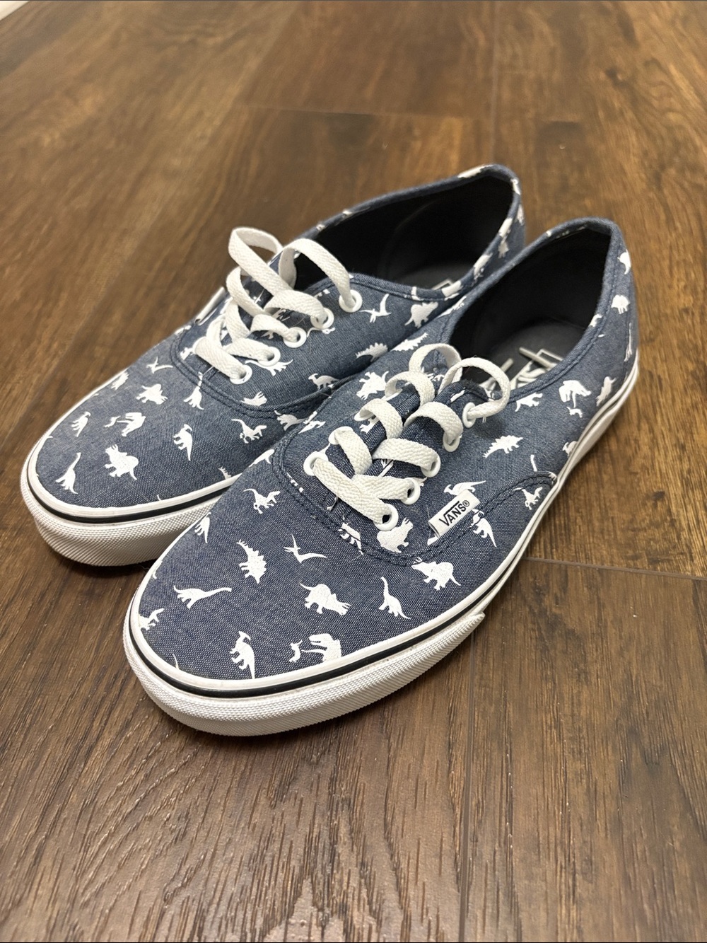 Vans Men’s Navy Canvas Sneakers with White Dinosaur Print